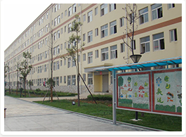 教学楼